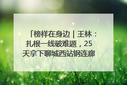 榜样在身边｜王林：扎根一线破难题，25天拿下聊城西站钢连廊“硬核”工程