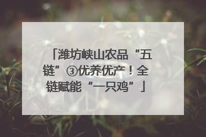 潍坊峡山农品“五链”③优养优产！全链赋能“一只鸡”