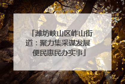 潍坊峡山区岞山街道：聚力集采谋发展 便民惠民办实事