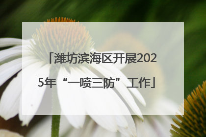 潍坊滨海区开展2025年“一喷三防”工作
