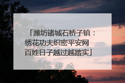 潍坊诸城石桥子镇：绣花功夫织密平安网 百姓日子越过越踏实