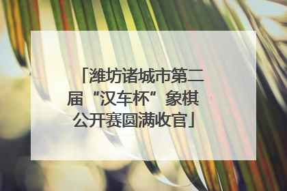 潍坊诸城市第二届“汉车杯”象棋公开赛圆满收官