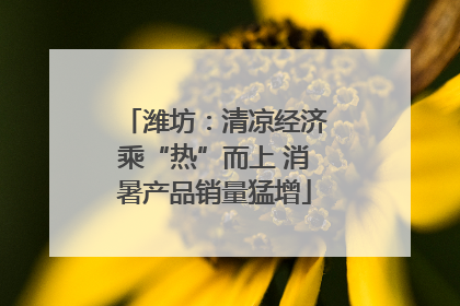 潍坊：清凉经济乘“热”而上 消暑产品销量猛增