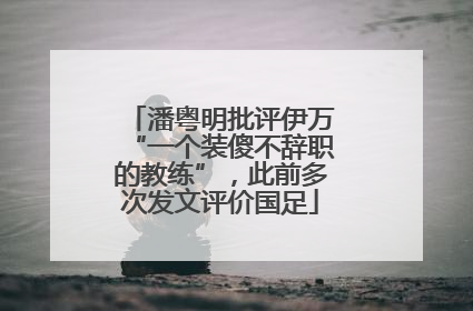 潘粤明批评伊万“一个装傻不辞职的教练”，此前多次发文评价国足