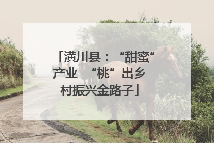 潢川县：“甜蜜”产业  “桃”出乡村振兴金路子