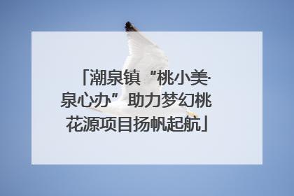 潮泉镇“桃小美·泉心办”助力梦幻桃花源项目扬帆起航