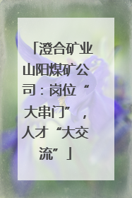 澄合矿业山阳煤矿公司：岗位“大串门”，人才“大交流”