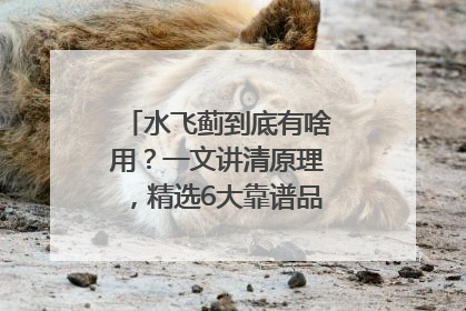 水飞蓟到底有啥用？一文讲清原理，精选6大靠谱品牌助你科学养生
