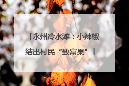永州冷水滩：小辣椒结出村民“致富果”