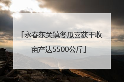 永春东关镇冬瓜喜获丰收 亩产达5500公斤