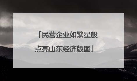 民营企业如繁星般点亮山东经济版图