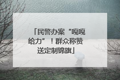 民警办案“嘎嘎给力”！群众称赞送定制锦旗