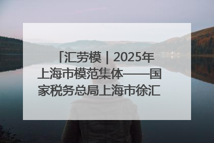 汇劳模｜2025年上海市模范集体——国家税务总局上海市徐汇区税务局第一税务所