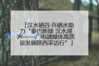 汉水硒谷·真硒水助力“秦巴新绿 汉水潮声——广电融媒体高质量发展陕西采访行”