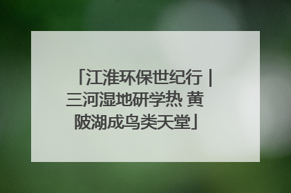 江淮环保世纪行｜三河湿地研学热 黄陂湖成鸟类天堂