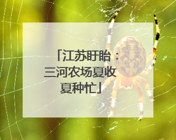 江苏盱眙：三河农场夏收夏种忙