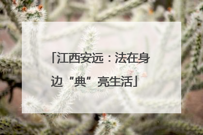 江西安远：法在身边“典”亮生活