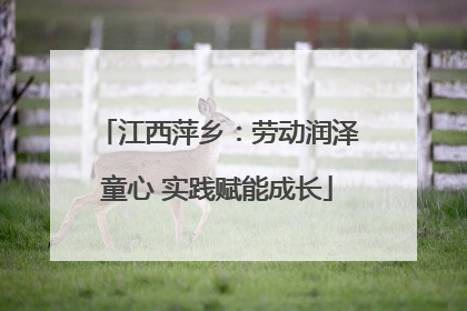 江西萍乡：劳动润泽童心 实践赋能成长