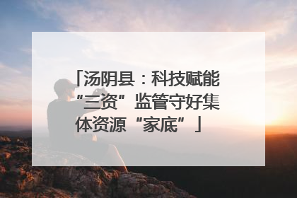 汤阴县：科技赋能“三资”监管守好集体资源“家底”