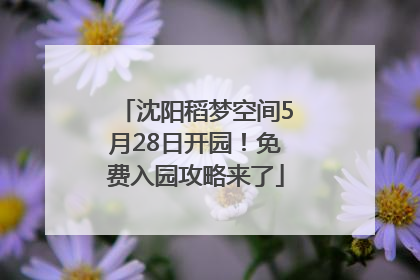 沈阳稻梦空间5月28日开园！免费入园攻略来了
