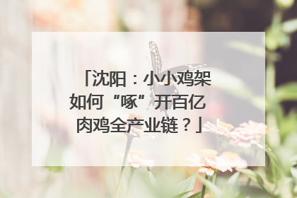 沈阳：小小鸡架如何“啄”开百亿肉鸡全产业链？