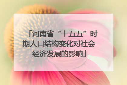 河南省“十五五”时期人口结构变化对社会经济发展的影响