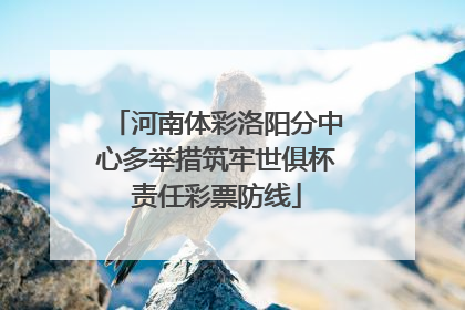 河南体彩洛阳分中心多举措筑牢世俱杯责任彩票防线