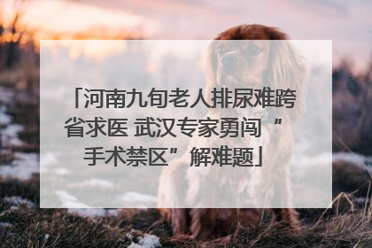 河南九旬老人排尿难跨省求医 武汉专家勇闯“手术禁区”解难题