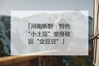 河南新野：特色“小土豆”变身致富“金豆豆”