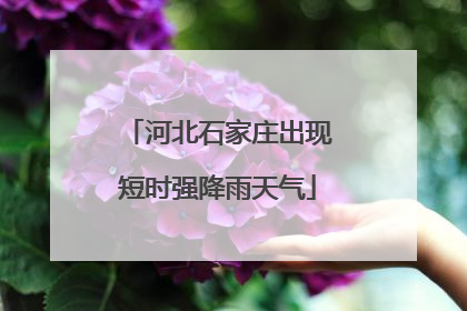 河北石家庄出现短时强降雨天气