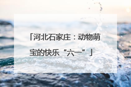 河北石家庄：动物萌宝的快乐“六一”