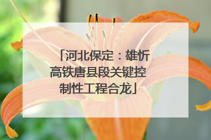 河北保定：雄忻高铁唐县段关键控制性工程合龙