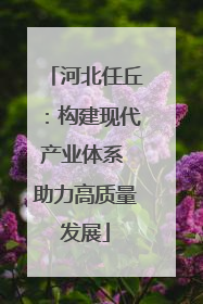 河北任丘：构建现代产业体系 助力高质量发展