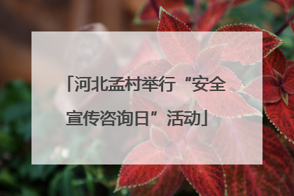 河北孟村举行“安全宣传咨询日”活动