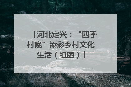 河北定兴：“四季村晚”添彩乡村文化生活（组图）