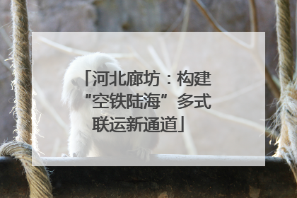 河北廊坊：构建“空铁陆海”多式联运新通道