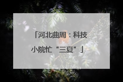 河北曲周：科技小院忙“三夏”