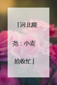 河北隆尧：小麦抢收忙
