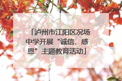 泸州市江阳区况场中学开展“诚信、感恩”主题教育活动