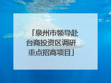 泉州市领导赴台商投资区调研重点招商项目