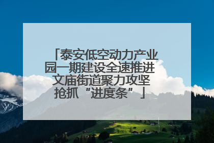 泰安低空动力产业园一期建设全速推进 文庙街道聚力攻坚抢抓“进度条”