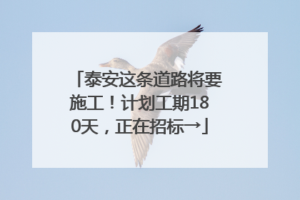 泰安这条道路将要施工！计划工期180天，正在招标→