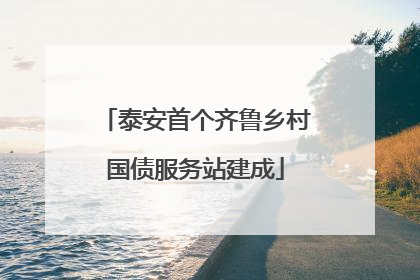 泰安首个齐鲁乡村国债服务站建成