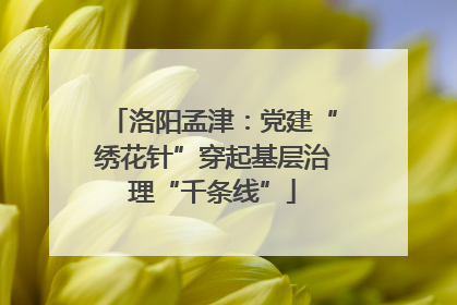 洛阳孟津：党建“绣花针”穿起基层治理“千条线”