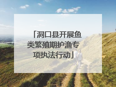 洞口县开展鱼类繁殖期护渔专项执法行动