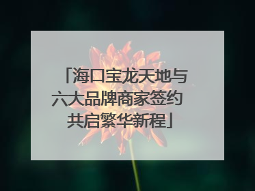 海口宝龙天地与六大品牌商家签约 共启繁华新程