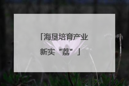 海垦培育产业新实“荔”