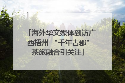 海外华文媒体到访广西梧州 “千年古郡”茶旅融合引关注