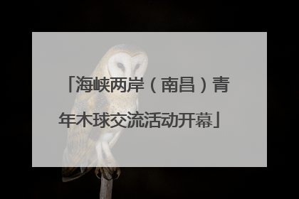 海峡两岸（南昌）青年木球交流活动开幕