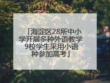 海淀区28所中小学开展多种外语教学 9校学生采用小语种参加高考